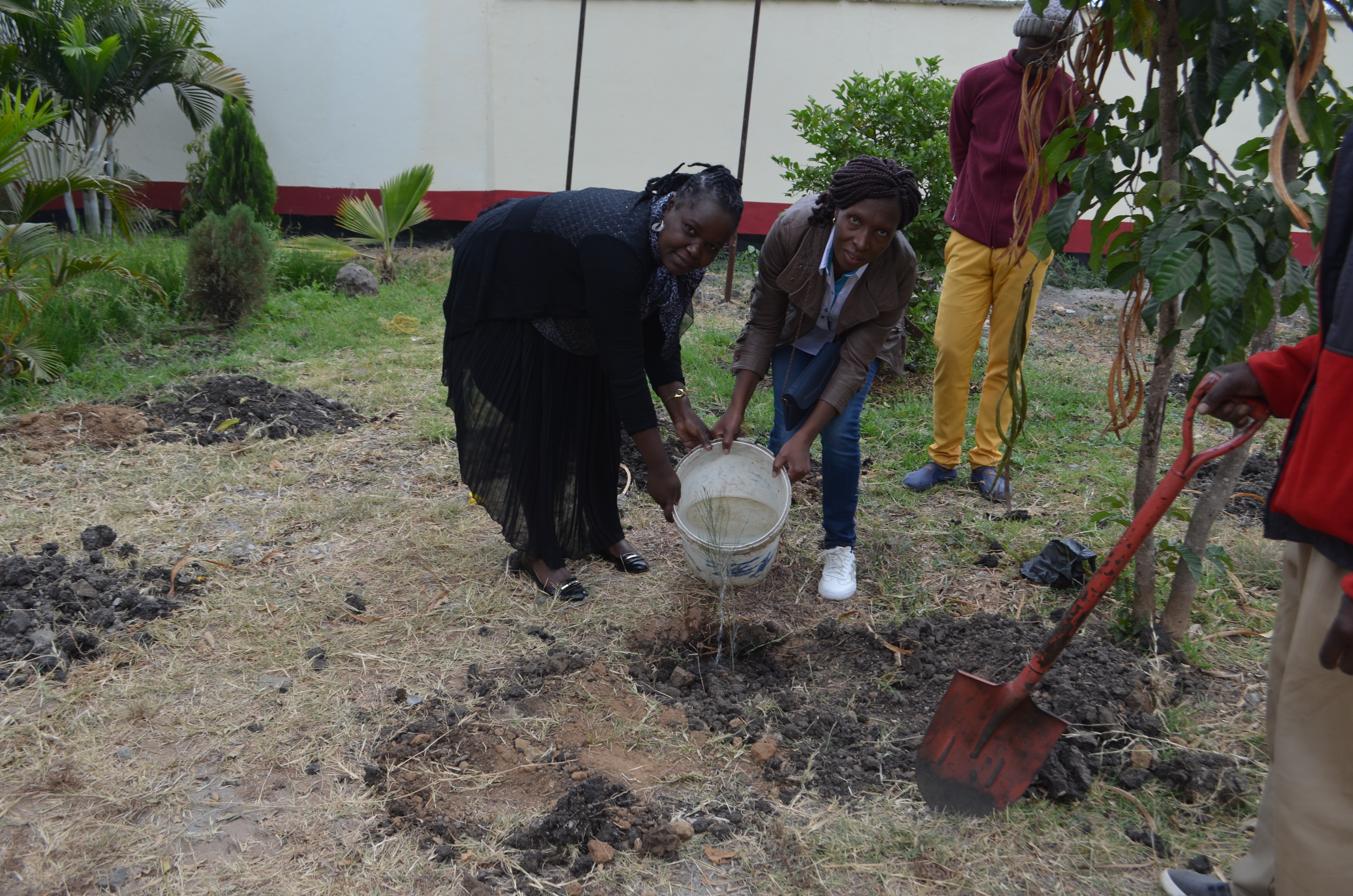 Planting a tree at Moi girls Isinya