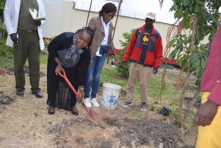 Dr F. Nzuve,Planting a tree at Moi Girls High School