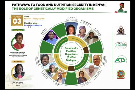 Pathways to Food and Nutrition Security in Kenya: The Role of Genetically Modified Organisms