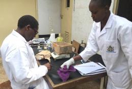 Students in a Pharmacology and Toxicology laboratory conducting practical experiments in Toxicity studies