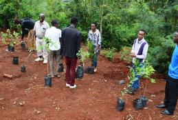 The faculty students were involved in annual tree planting day at kanyariri farm